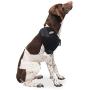 Caldera International Caldera Pet Therapy Shoulder Wrap with Gel, Medium, Black (PET201)