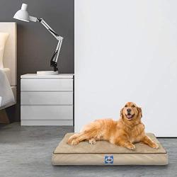 Sealy Ultra Plush Dog Bed - Orthopedic Foam pet Bed