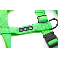 Gracie To The Rescue Pawsitive Hemp Dog Harness - We Donate a Harness for Every Harness Sold. Durable, Vegan, Hypoallergenic, Fleece Lined Adjustable Harness, Great for Sensitive Skin.