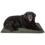 Furhaven Pet Dog Bed - Terry 2-Inch Orthopedic Step-On Mat Foam Mattress Pad Pet Bed with Removable Cover for Dogs and Cats, Forest, Large
