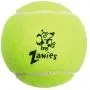 Zanies Puppy Pride Tennis Balls for Dogs, 6-Pack – 2.5-Inch Diameter Tennis Balls Match the Rainbow Pride Flag Colors