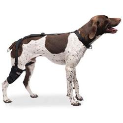 Caldera Pet Therapy Short Stifle Wrap with Gel, Medium, Black (PET207)