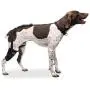 Caldera Pet Therapy Short Stifle Wrap with Gel, Medium, Black (PET207) Caldera Pet Therapy Short Stifle Wrap with Gel, Medium, Black (PET207)