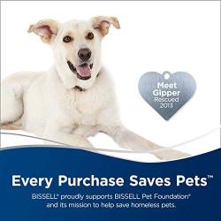 Bissell Pet Slicker Grooming Brush, 25351