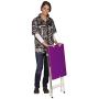 Master Equipment Folding Dog Groomer Table Versa Competition Grooming Arm Loop 28.5'' Holds 50lbs