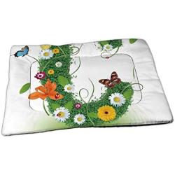 SULMOEITLY Norwegian Vegetation with Cranberries Moss and Lichen Cranberry,Dog Bed Mat Comfortable Soft Washable for Large Medium Dogs Nordic Countries 35Wx23H
