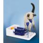 Royal Pet Club Activity