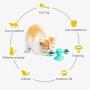 Windmill Cat Toys Kitten Fidget LED Catnip Ball
