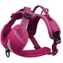 Maverick Dual Attachment Outdoor Dog Harness by Voyager | NO-Pull Pet Walking Vest Harness