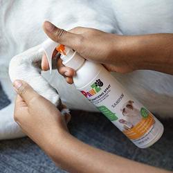 Protex PawZ SaniPaw Dog Paw Sanitizer Spray & SaniPaw Dog Paw Wipes Bundle