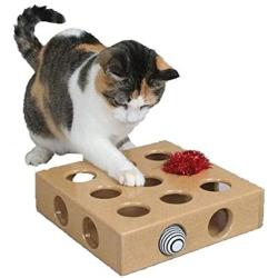 OCSOSO Interactive Indoor Kitten and Cat Toy Puzzle Box - Great Gift for Any Cat