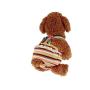 Pack of 2 Pet Dog Cat Physiological Shorts Doggy Kitten Underwear Pants Diapers Strip Design Tighten Strap Sanitary Briefs Panties for Puppy Kitty Color at Random (M)