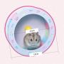 Jia Xing Pet Toy Running Wheel Hamster Ball Golden Bear Running Ball Rolling Ball Wheel Wheel Sports Ball Runner Colorful Toys. Dog Toys for Medium Dogs