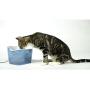 Oster Fresh Sips Less Stress Pet Water Fountain, 60 fl. oz.