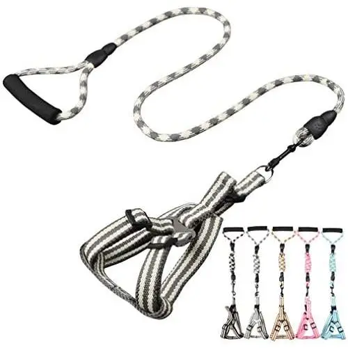 Dog Harness and Leash Set Padded Handle Durable Comfortable Dog Leash Adjustable Dog Vest Pet Harness for Small Medium Dogs Dog Harness and Leash Set Padded Handle Durable Comfortable Dog Leash Adjustable Dog Vest Pet Harness for Small Medium Dogs