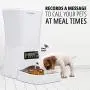 Pawple Automatic Pet Feeder Food Dispenser for Cats, Dogs, & Small Animals – Features Distribution Alarms, Portion Control & Voice Recording –Programmable Timer Up to 4 Meals a Day,11L Capacity Pawple Automatic Pet Feeder Food Dispenser for Cats, Dogs, & Small Animals – Features Distribution Alarms, Portion Control & Voice Recording –Programmable Timer Up to 4 Meals a Day,11L Capacity