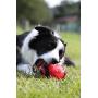 Nerf Dog Squeak Rubber Football Dog Toy
