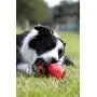 Nerf Dog Squeak Rubber Football Dog Toy Nerf Dog Squeak Rubber Football Dog Toy