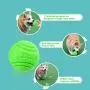 GAPZER Rubber Dog Toy Ball, Pets Floating and Bouncing Puppy Toy Balls for Chew, Exercise, Training (Orange&Green, 2 Packs) GAPZER Rubber Dog Toy Ball, Pets Floating and Bouncing Puppy Toy Balls for Chew, Exercise, Training (Orange&Green, 2 Packs)