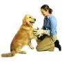 Spotless Paw Dog Paw Cleaning, Grooming Glove, Dog Paw Cleaner for Muddy Paws -This Dog Paw Washer Saves Floors, Carpet, Furniture, Vehicles from Paw Prints Spotless Paw Dog Paw Cleaning, Grooming Glove, Dog Paw Cleaner for Muddy Paws -This Dog Paw Washer Saves Floors, Carpet, Furniture, Vehicles from Paw Prints