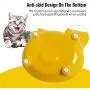 Cat Bowl, Cat Bowls for Food and Water,Shallow cat Bowls for Wet Food ,Non Slip Pet Feeding Dish ,Pet Food & Water Bowls Set of 3 Cat Bowl, Cat Bowls for Food and Water,Shallow cat Bowls for Wet Food ,Non Slip Pet Feeding Dish ,Pet Food & Water Bowls Set of 3