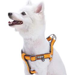 Blueberry Pet 2 Colors Soft & Comfy Urban Chic Diamond Pattern Padded Dog Harness