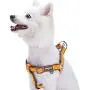 Blueberry Pet 2 Colors Soft & Comfy Urban Chic Diamond Pattern Padded Dog Harness Blueberry Pet 2 Colors Soft & Comfy Urban Chic Diamond Pattern Padded Dog Harness