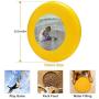 Pet Frisbee Flying Disc Dog Toy - Multifunction Finding Sea Glass Vickie Wade