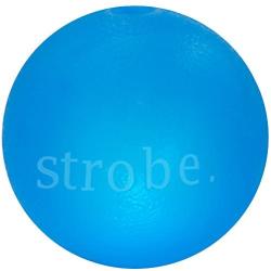 Planet Dog Orbee-Tuff Durable Chew-Fetch Ball Dog Toys