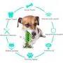Zozostore Dog Toothbrush Squeaky Chew Toys – 2020 Upgraded Sonic Puppy Teeth Cleaning Stick - Natural Rubber Dental Care Toothbrush, with 2PCS Straw Cleaning Brush. Zozostore Dog Toothbrush Squeaky Chew Toys – 2020 Upgraded Sonic Puppy Teeth Cleaning Stick - Natural Rubber Dental Care Toothbrush, with 2PCS Straw Cleaning Brush.