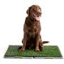 Silver Paw Potty Patch Dog Potty – Replaces Wee Wee Pads – The Best Pet Turf Potty Training Tool – Works for Puppies & Adult Dogs – For Big Dogs