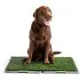 Silver Paw Potty Patch Dog Potty – Replaces Wee Wee Pads – The Best Pet Turf Potty Training Tool – Works for Puppies & Adult Dogs – For Big Dogs Silver Paw Potty Patch Dog Potty – Replaces Wee Wee Pads – The Best Pet Turf Potty Training Tool – Works for Puppies & Adult Dogs – For Big Dogs