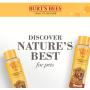 Burts Bees for Dogs Natural Shed Control Shampoo with Omega 3s and Vitamin E
