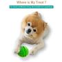 Hide a Treat Ball and Bone Treat Dispenser Toy for Dogs 2pc Ball/Bone Bundle (Green)