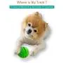 Hide a Treat Ball and Bone Treat Dispenser Toy for Dogs 2pc Ball/Bone Bundle (Green) Hide a Treat Ball and Bone Treat Dispenser Toy for Dogs 2pc Ball/Bone Bundle (Green)