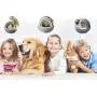 Cat Bed for Indoor Cats, Pet Tent Cave Bed for Cats, Cat Cave Bed for Indoor, Cat Beds for Indoor Cats or Small Dogs (171615 in) Cat Bed for Indoor Cats, Pet Tent Cave Bed for Cats, Cat Cave Bed for Indoor, Cat Beds for Indoor Cats or Small Dogs (171615 in)
