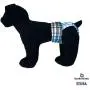 Barkertime Swim Diapers for Hydrotherapy Dogs - Made in USA - Blue Plaid Waterproof Swim Diaper for Dogs Barkertime Swim Diapers for Hydrotherapy Dogs - Made in USA - Blue Plaid Waterproof Swim Diaper for Dogs