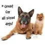Dog Water Bottle Just4GSD - Portable dog water bottle, dog travel water bottle, handy water bottle dispenser for your pet when walking, hiking or travel with your dogs. 20 oz dog bowl water bottle Dog Water Bottle Just4GSD - Portable dog water bottle, dog travel water bottle, handy water bottle dispenser for your pet when walking, hiking or travel with your dogs. 20 oz dog bowl water bottle