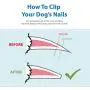 Flexzion Dog Nail Clipper - Pet Cat Toe Claw Trimmer Scissor Grooming Tool with Stainless Steel Blades File Easy Grip Handle Safety Guard to Avoid Overcutting for Small Medium Large Breed Puppy Flexzion Dog Nail Clipper - Pet Cat Toe Claw Trimmer Scissor Grooming Tool with Stainless Steel Blades File Easy Grip Handle Safety Guard to Avoid Overcutting for Small Medium Large Breed Puppy