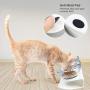 Elevated Cat Bowls with Raised Stand, 15° Tilted Cat Food & Water Bowl Set, Pet Feeding Bowls for Cats and Small Dogs