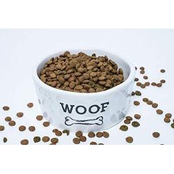 Dog Pet Ceramic Bowls and Durable Ceramic Food Bowls | Wet, Dry Food, and Water | Available in Sizes, Measures 6.0'' Dia x 2.7'' H, 1.6 Pound | Medium