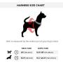Shine for Dogs Ultimate LED Dog Harness - USB Rechargeable, Cable Included, 4 Awesome Colors. Ultra Bright, Durable, Made to Last. Maximize Your Dog’s Visibility.