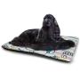 Nomorer Dog Beds Bear Super Soft Pet Cushion Abstract Silhouette with Artistic Swirls Color Splashes Fantasy Display Pale Pink Blue Purple