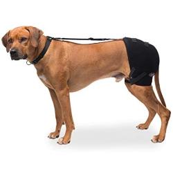 Caldera International Pet Therapy Hip Wrap with Gel, Large, Black (PET303)