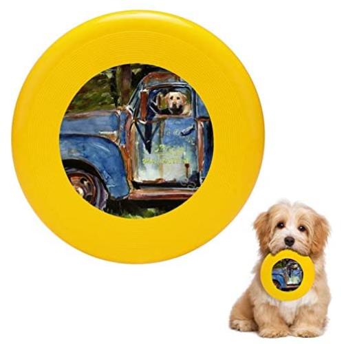 Pet Frisbee Flying Disc Dog Toy - Multifunction Farmhand Molly Poole