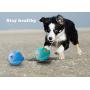 §ａｎｇｅ Ange Tennis Balls for Dogs Puppy Toy Ball Thrower Feeder IQ Puppy Food Dispensing for Small Medium Large Launcher Toys Thrower Squeaky 2 Colors