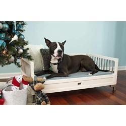 New Age Pet ecoFLEX Manhattan Raised Dog Bed w/Removable Cushion