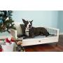 New Age Pet ecoFLEX Manhattan Raised Dog Bed w/Removable Cushion