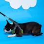 Gooby Dog Harness - Escape Free Memory Foam Step-in Small Dog Harness - Perfect on The Go Four-Point Adjustable - No Pull Harness for Small Dogs or Cat Harness