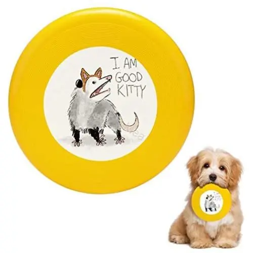 Pet Frisbee Flying Disc Dog Toy - Multifunction I AM Good Kitty Pet Frisbee Flying Disc Dog Toy - Multifunction I AM Good Kitty